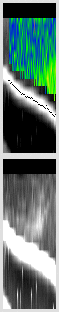 vertical section