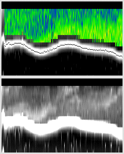 vertical section