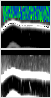 vertical section