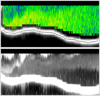 vertical section