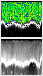 vertical section