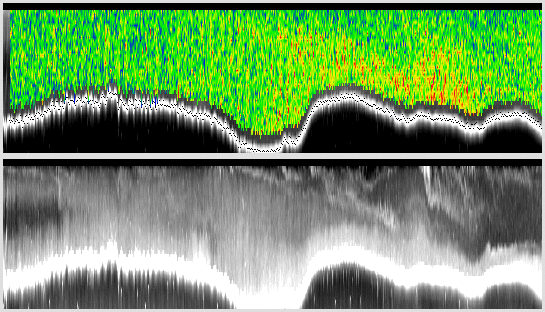 vertical section