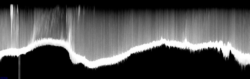 vertical section