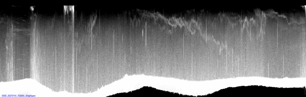 vertical section