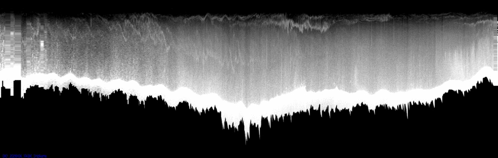 vertical section