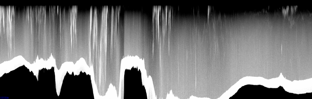 vertical section