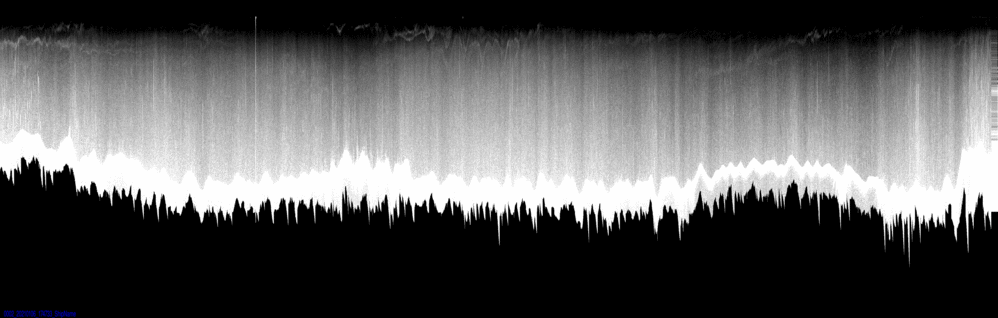 vertical section
