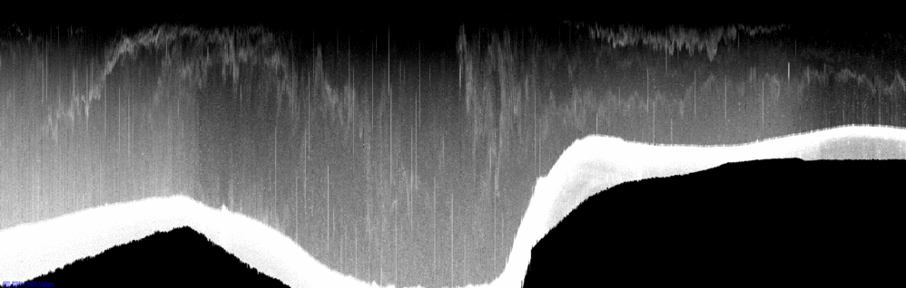 vertical section