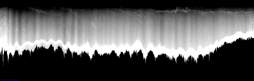 vertical section