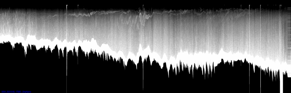 vertical section