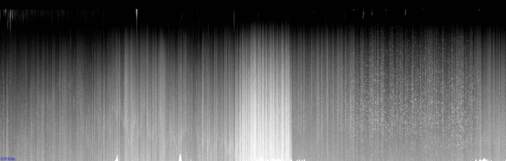 vertical section