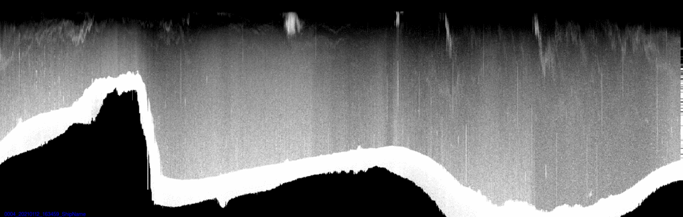 vertical section