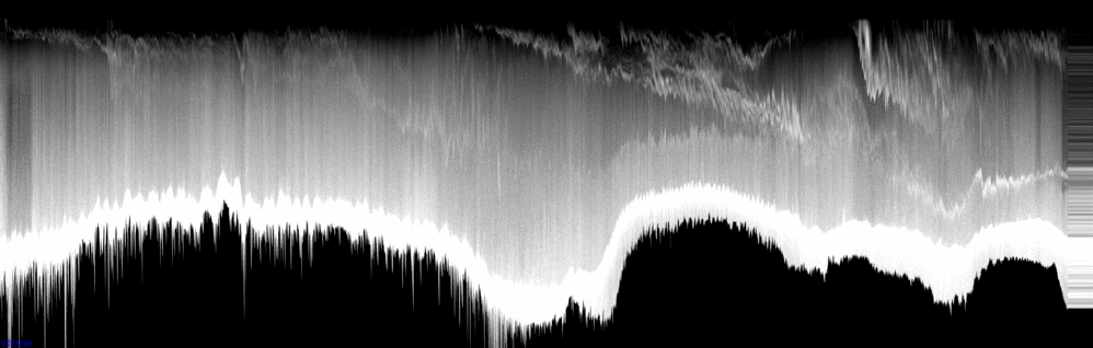 vertical section