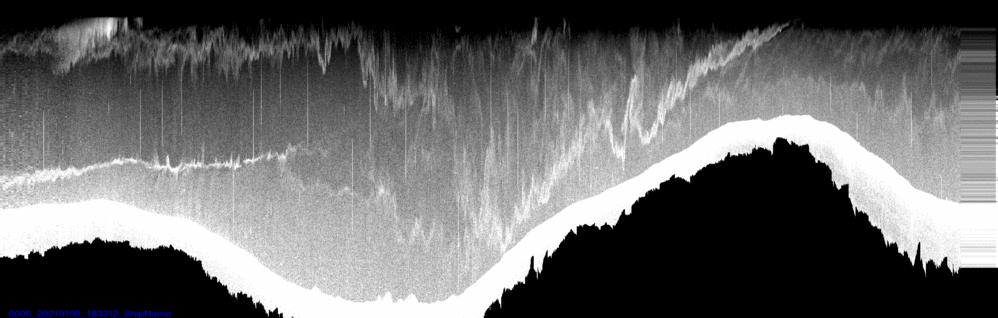 vertical section