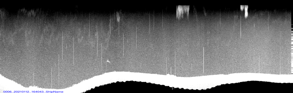 vertical section