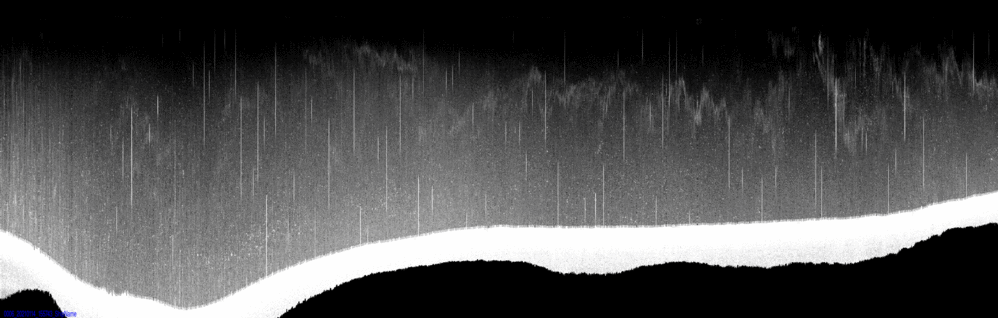 vertical section