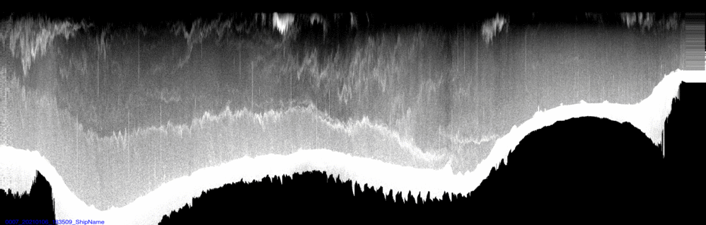 vertical section
