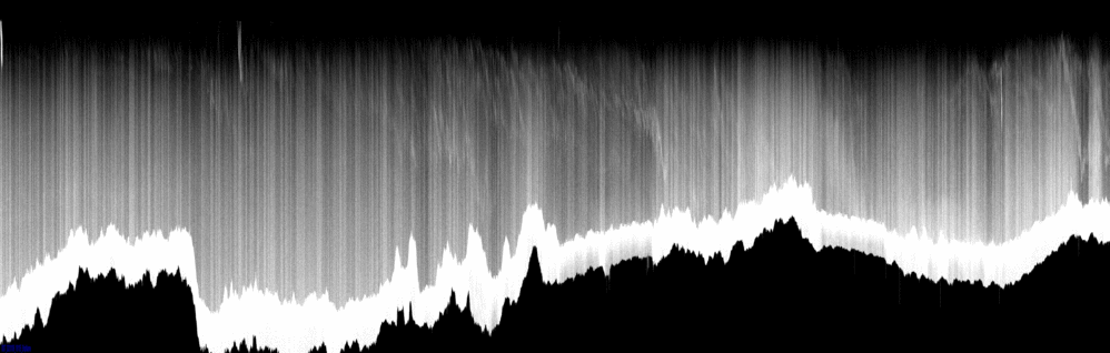 vertical section