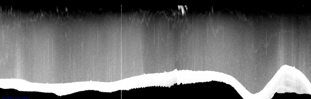 vertical section