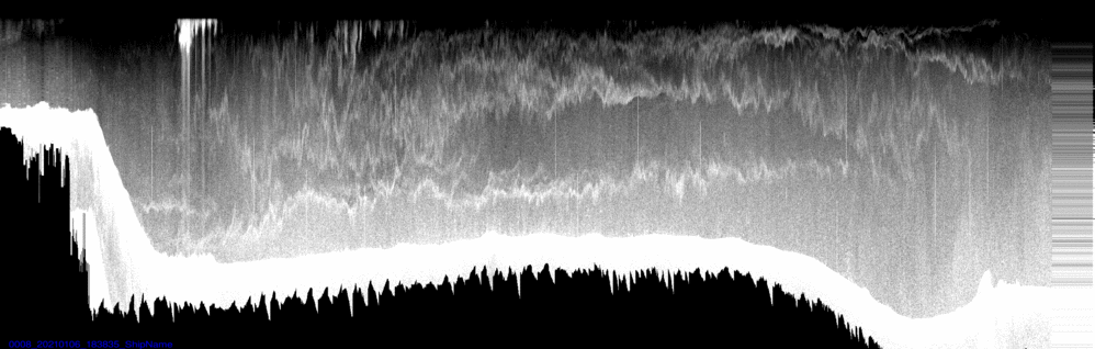 vertical section