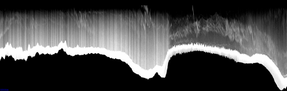 vertical section