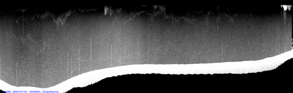 vertical section