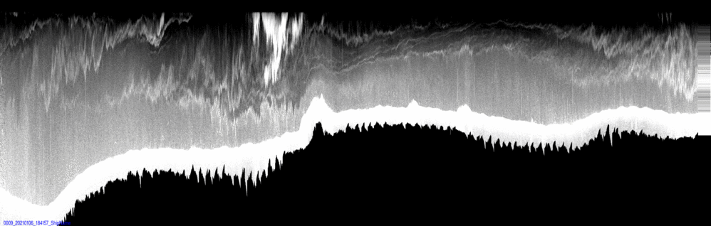 vertical section