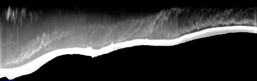 vertical section