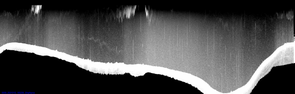vertical section