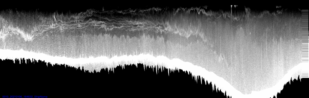 vertical section