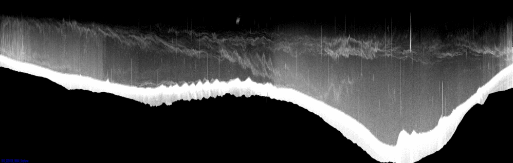 vertical section