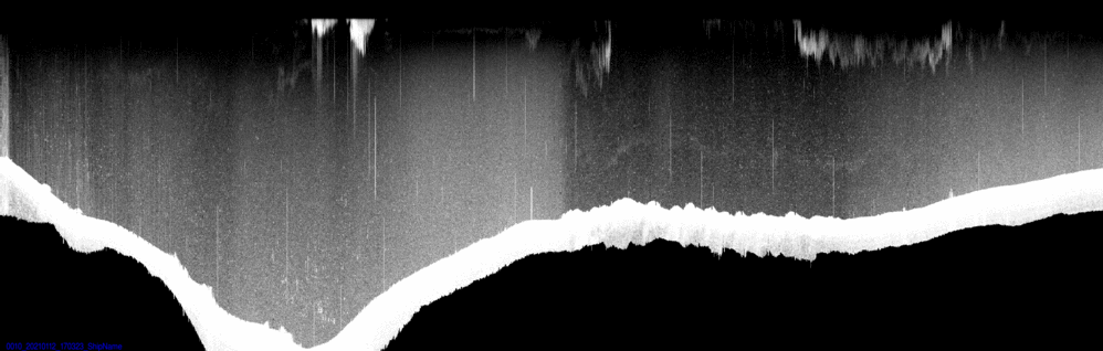 vertical section