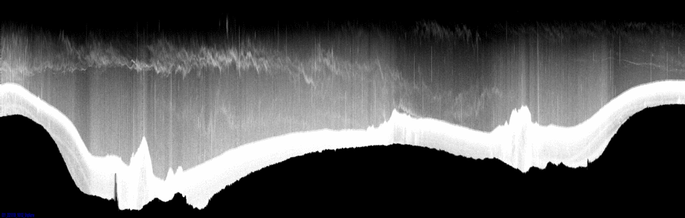 vertical section