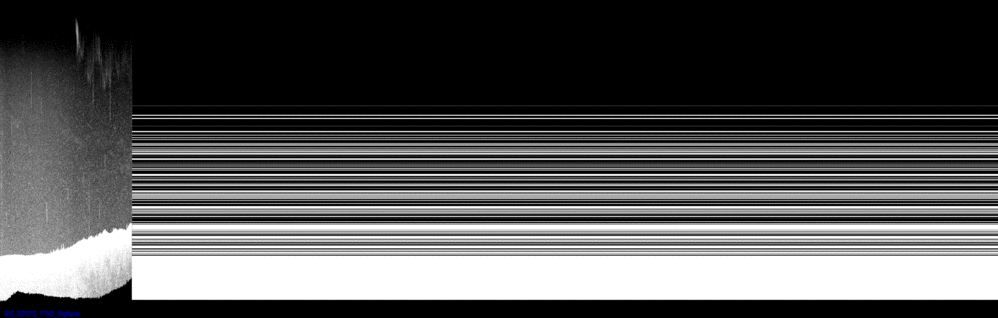 vertical section