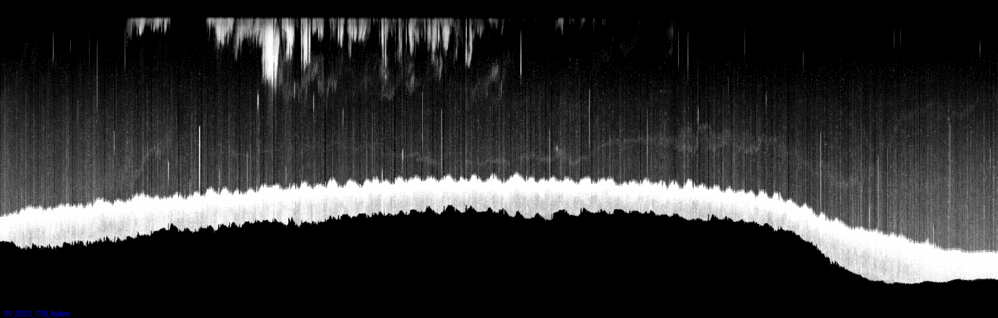 vertical section