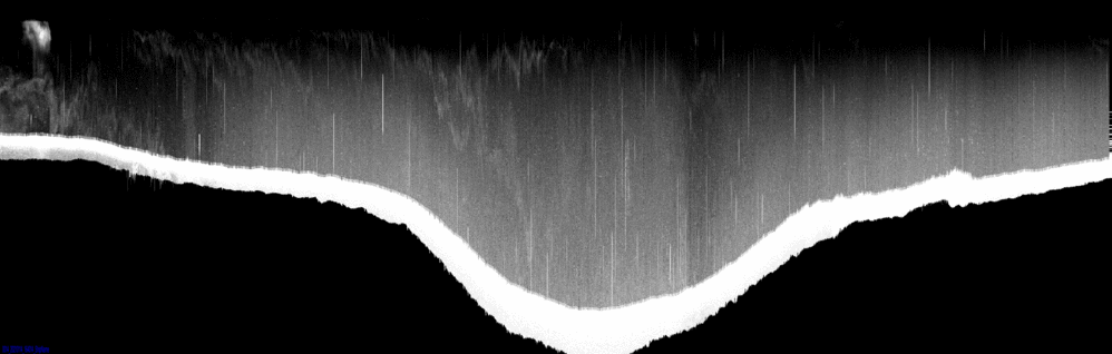 vertical section