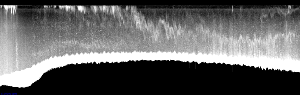 vertical section