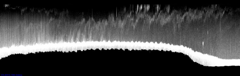 vertical section