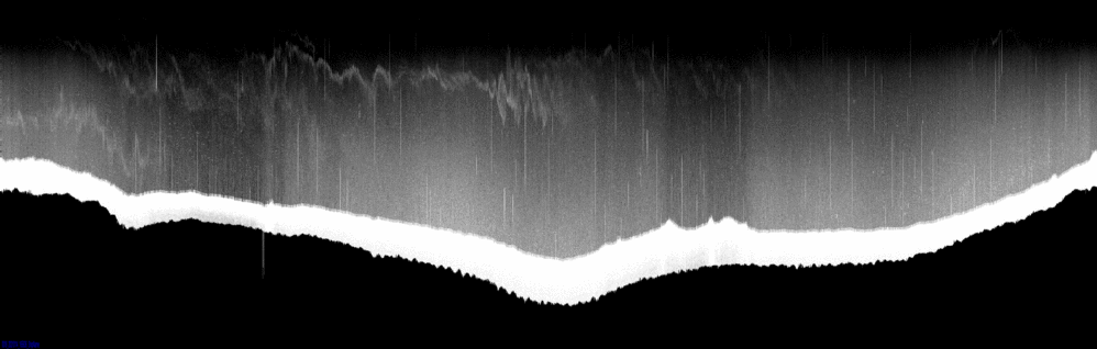 vertical section