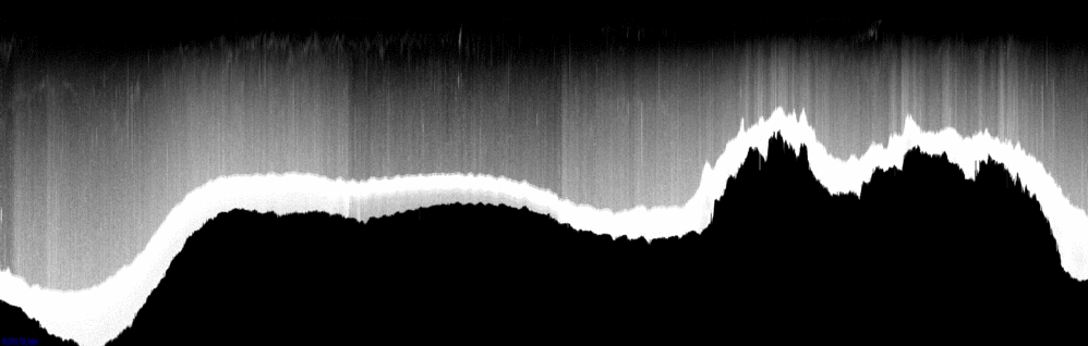 vertical section
