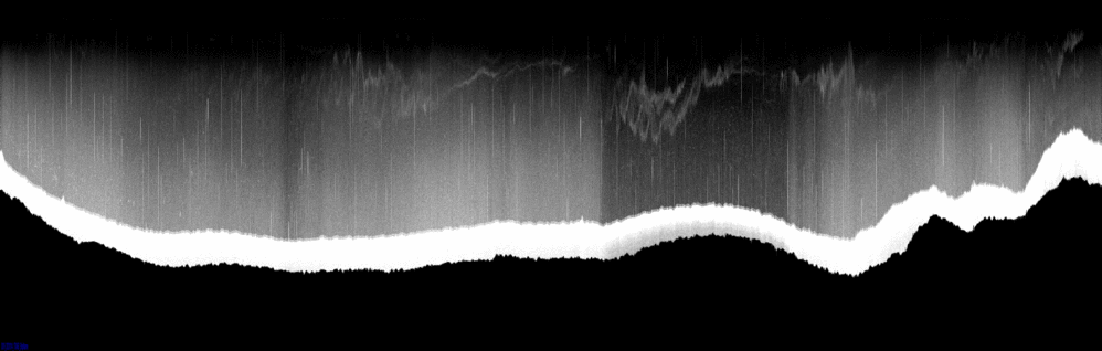 vertical section