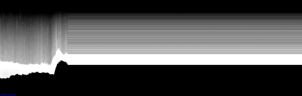 vertical section