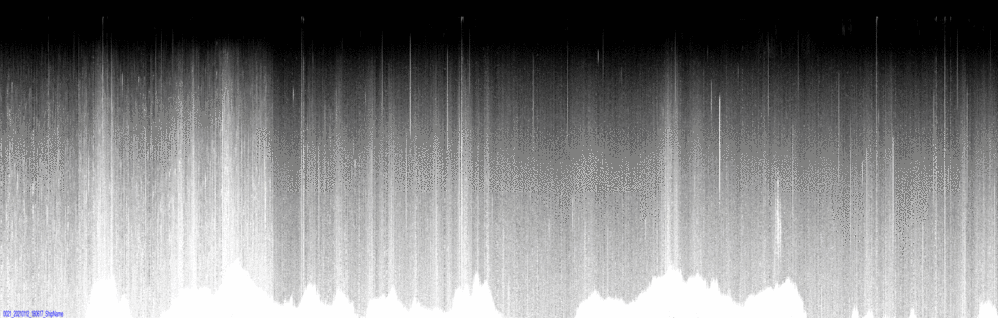 vertical section