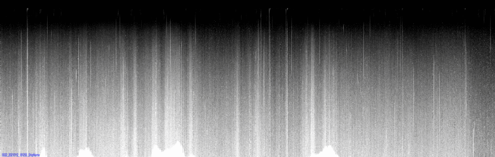 vertical section