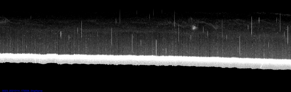 vertical section