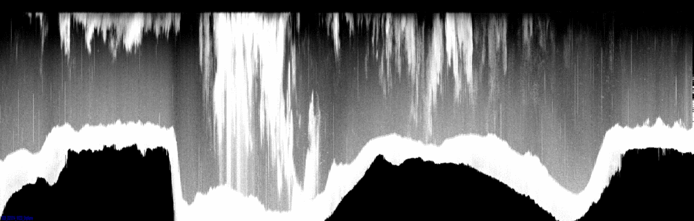 vertical section