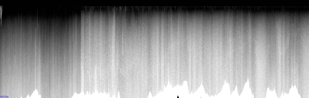 vertical section