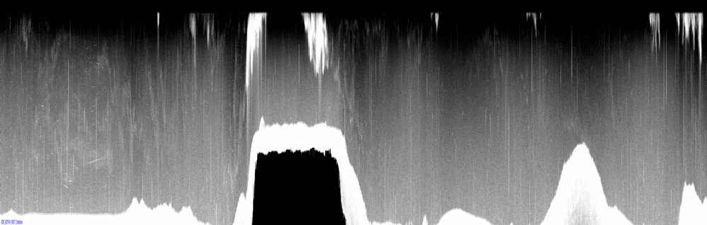 vertical section