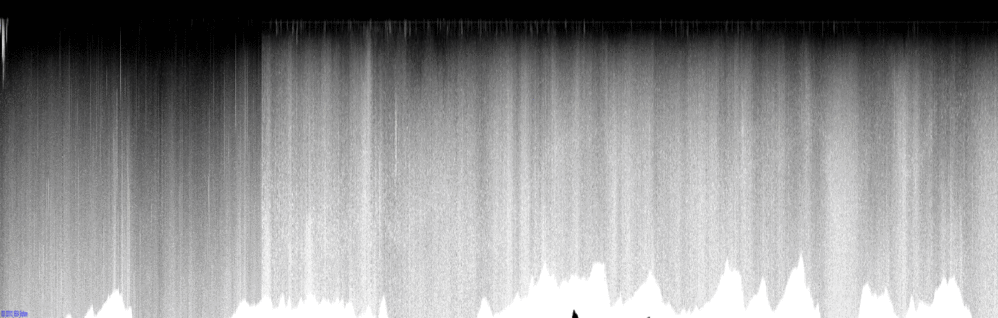 vertical section
