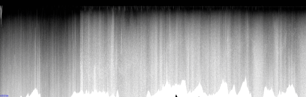 vertical section